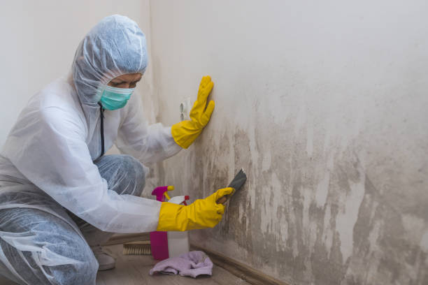 Best Asbestos and Lead Testing During Mold Inspection  in Augusta, GA